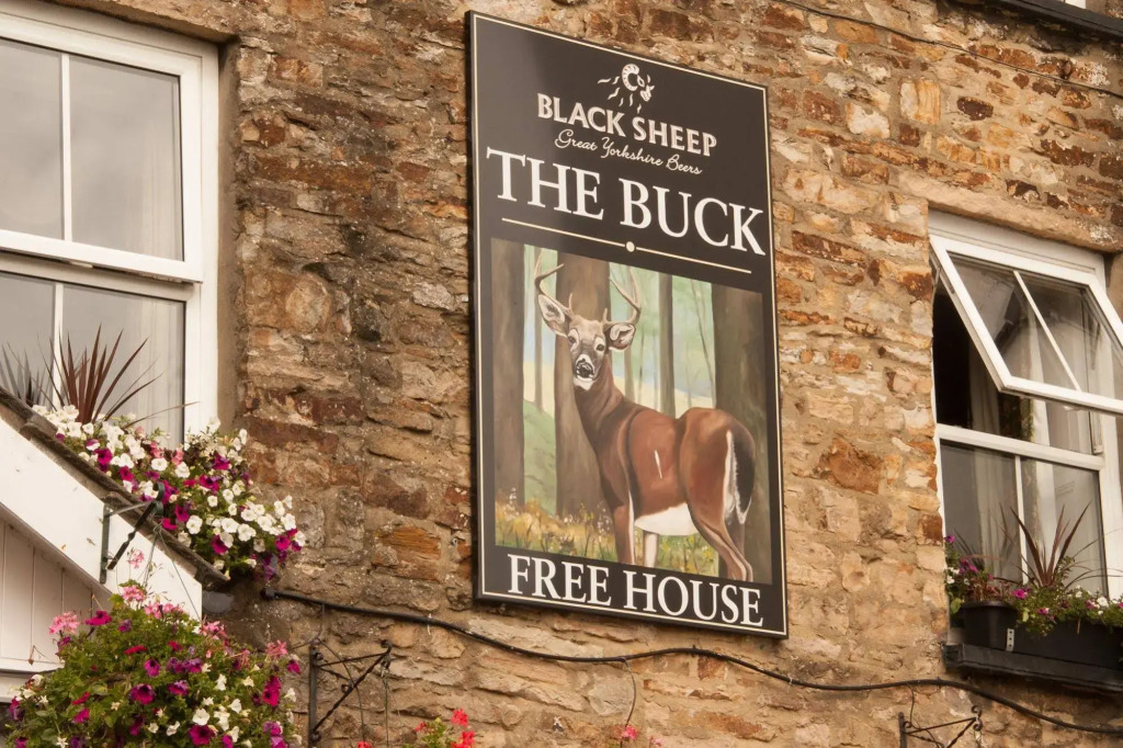 The Buck