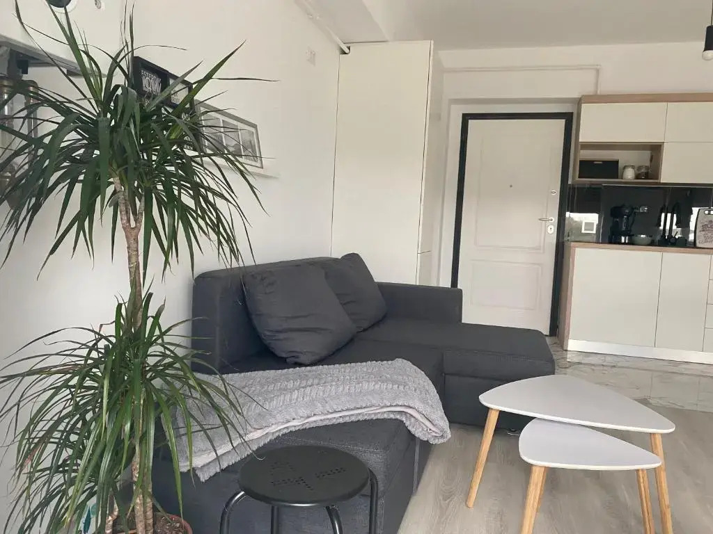 Maia Minimalist Studio