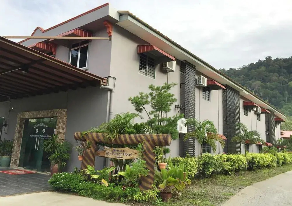 My Forest Hotel