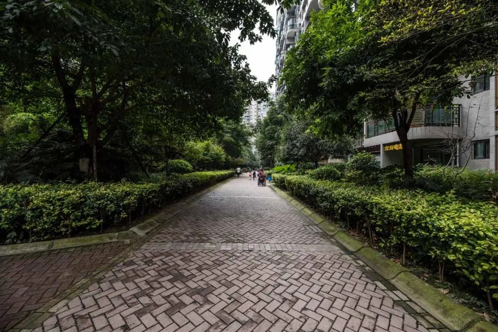 Chengdu Qingyang·Kuanzhai Alley· Locals Apartment 00170590