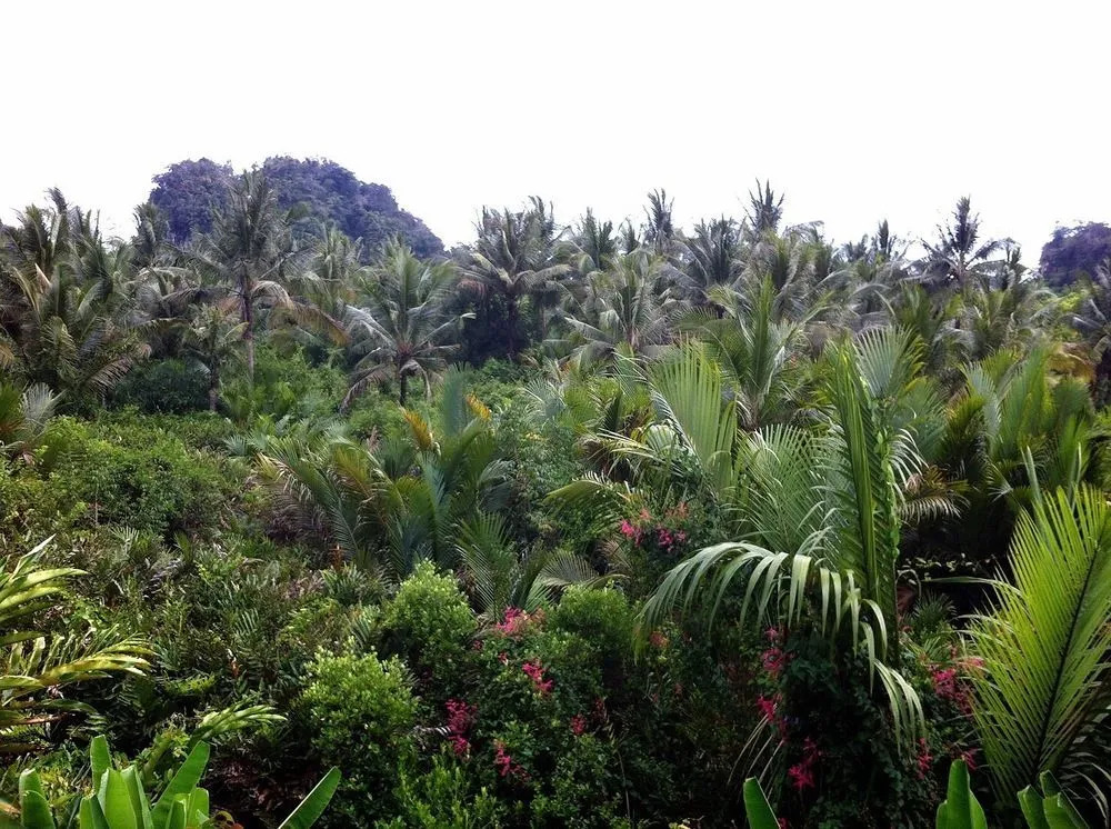 Krabi Garden Home Saithai