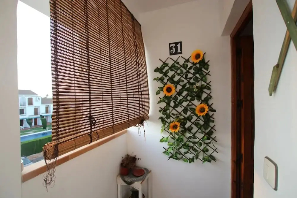 Flor de Orquídea