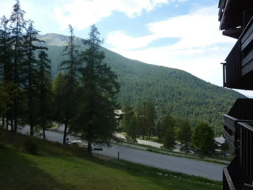 Appartement Les Orres, 1 pièce, 4 personnes - FR-1-322-331