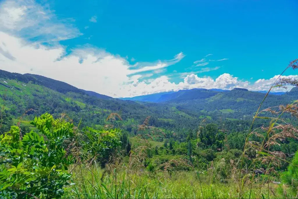 Lak Sewana Home Stay