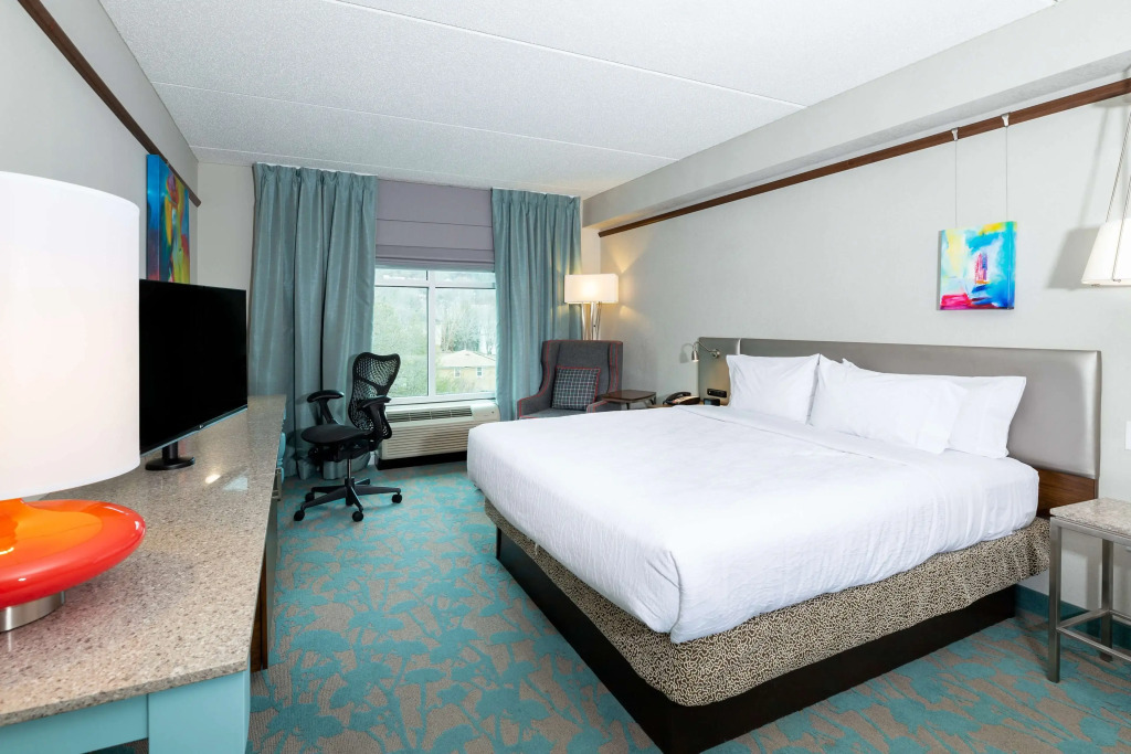 Hilton Garden Inn Asheville Downtown