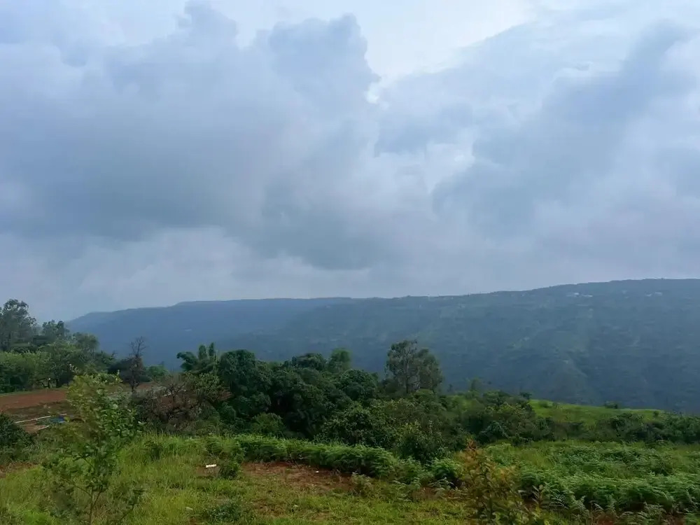 The Breeze Valley