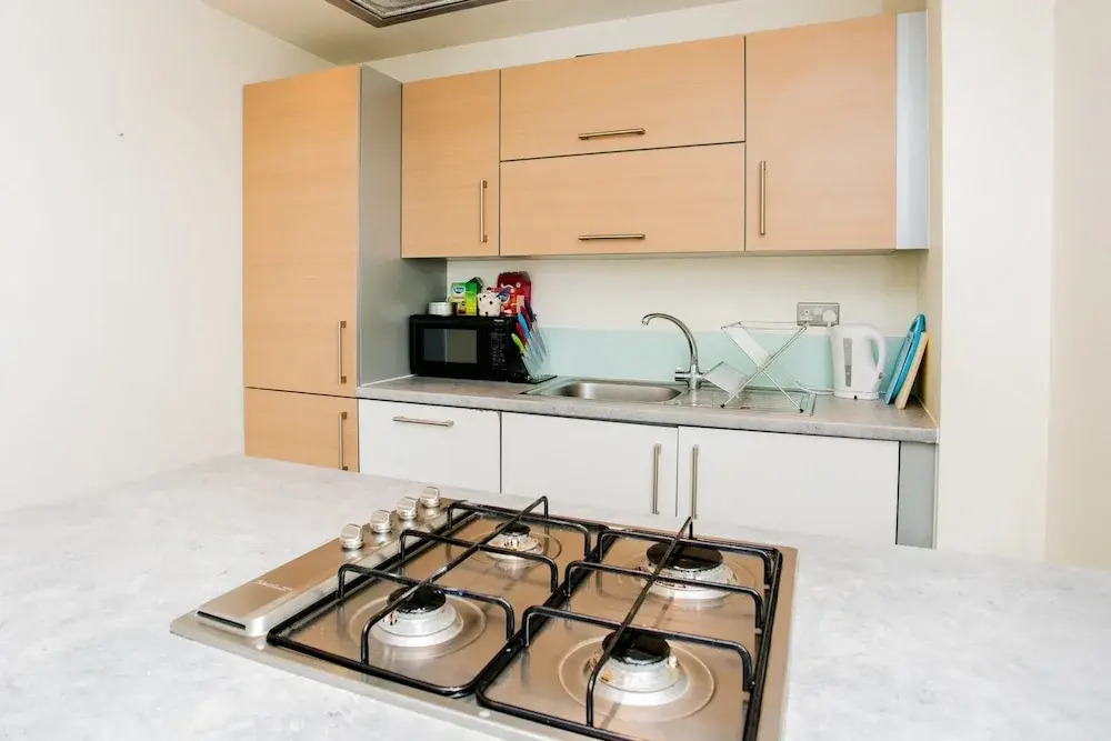 1 Bedroom Flat in East London