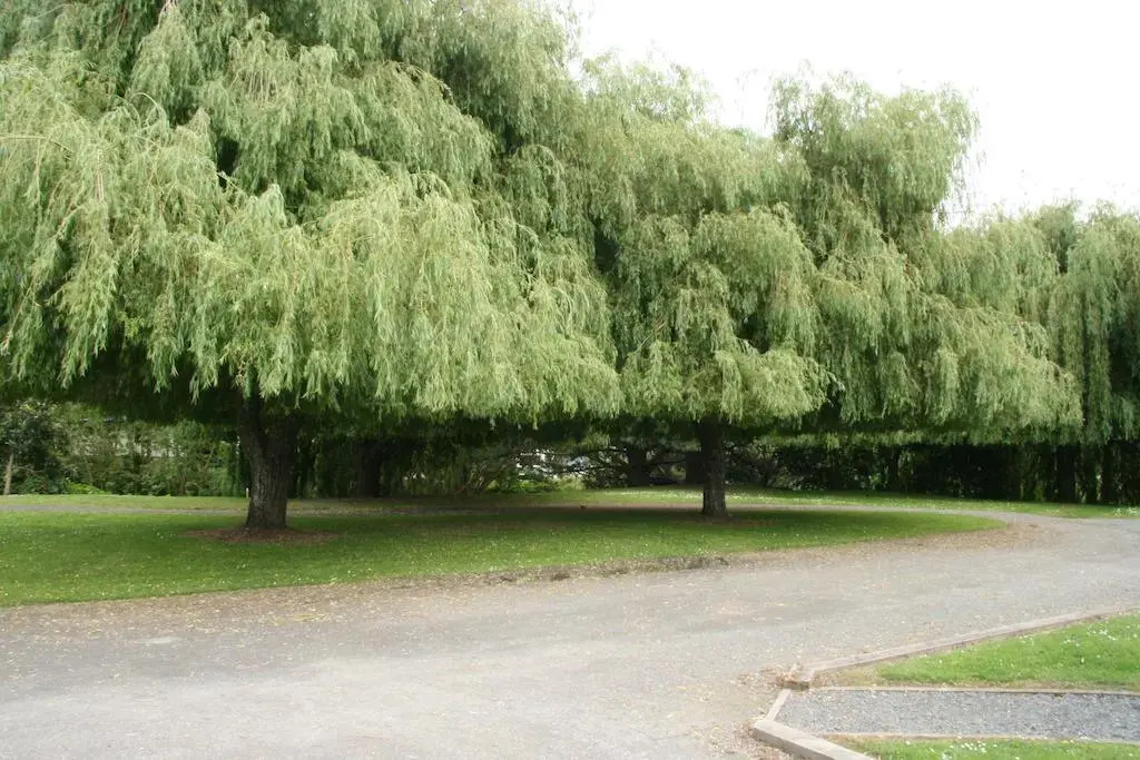 Whangarei Central Holiday Park