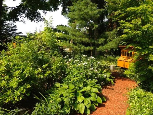 Sheppards Place Bed & Breakfast