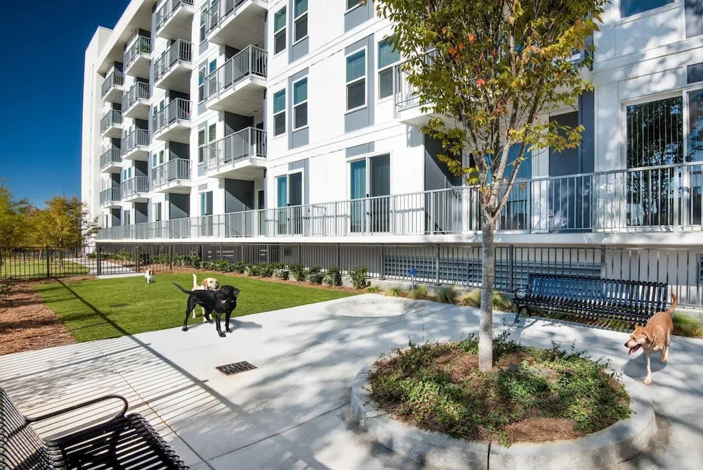 S1ba Hidden Gem Well Equipped 1-br Perfect for Business Travel
