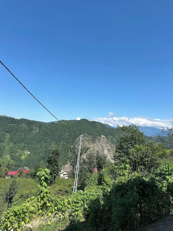 Kalivi Suit Bungalov