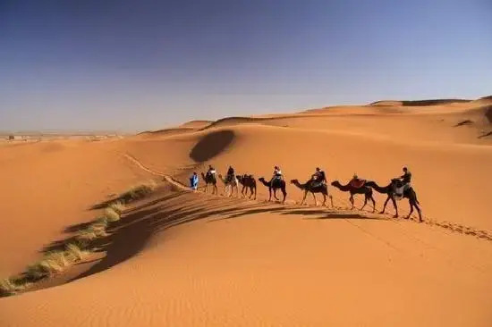 Bivouac Etoile De Merzouga