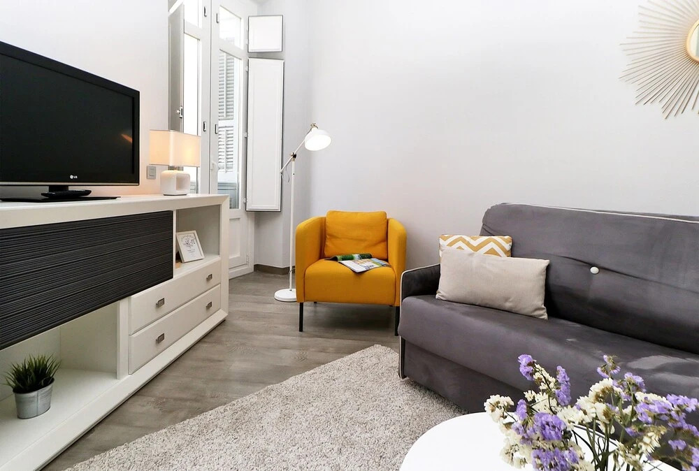 Apartamentos Plaza Constitución - Larios
