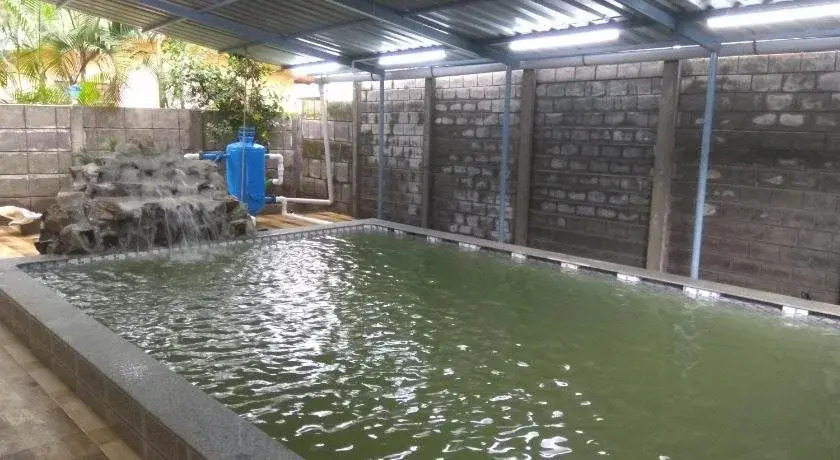 Dolphin House