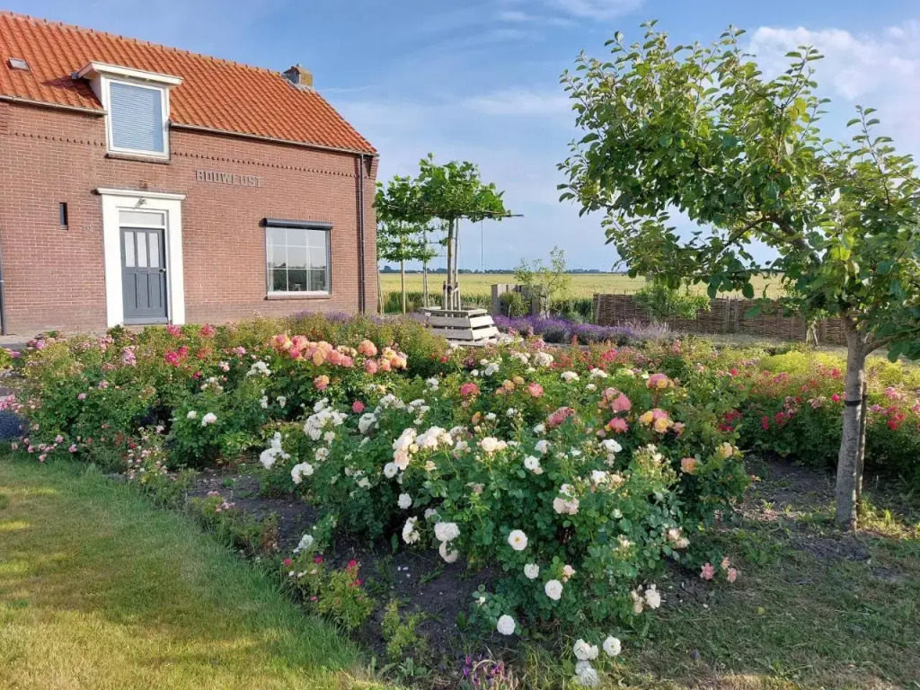 B&B Bouwmanshoeve