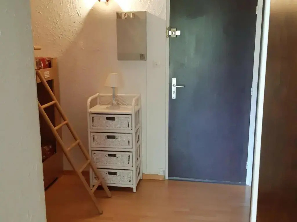 Appartement Les Deux Alpes, 1 pièce, 4 personnes - FR-1-516-51