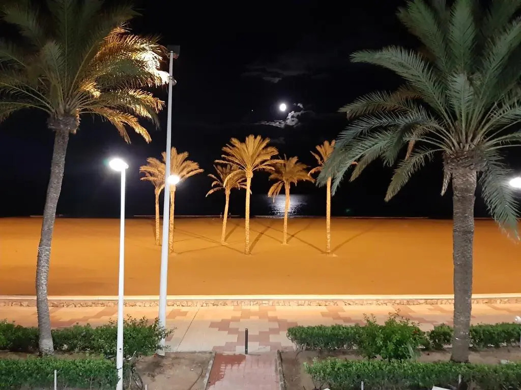 NUEVO, Primerísima línea con Wifi y Parking gratis en Playa San Antonio