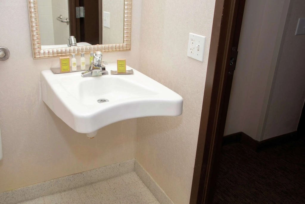 President Abraham Lincoln - A Doubletree by Hilton Hotel