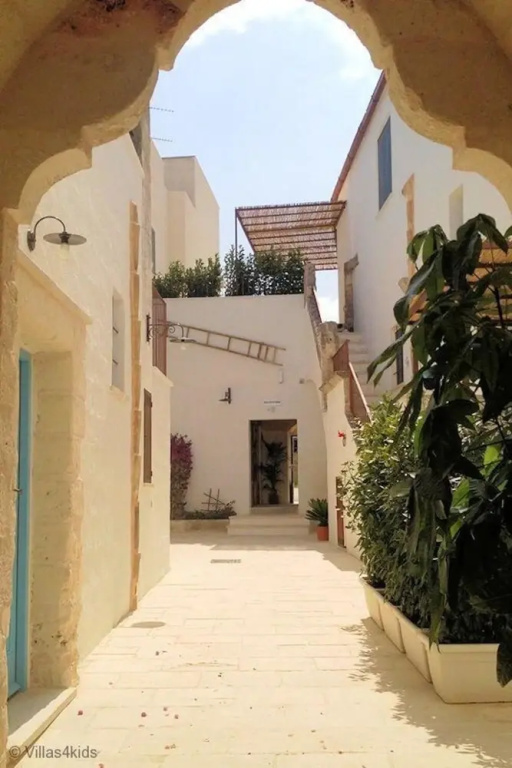 The Courtyard - Lilly