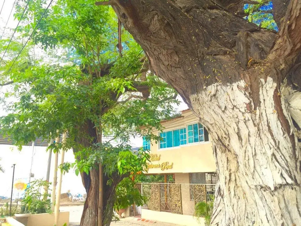 Hotel Gairaca Real