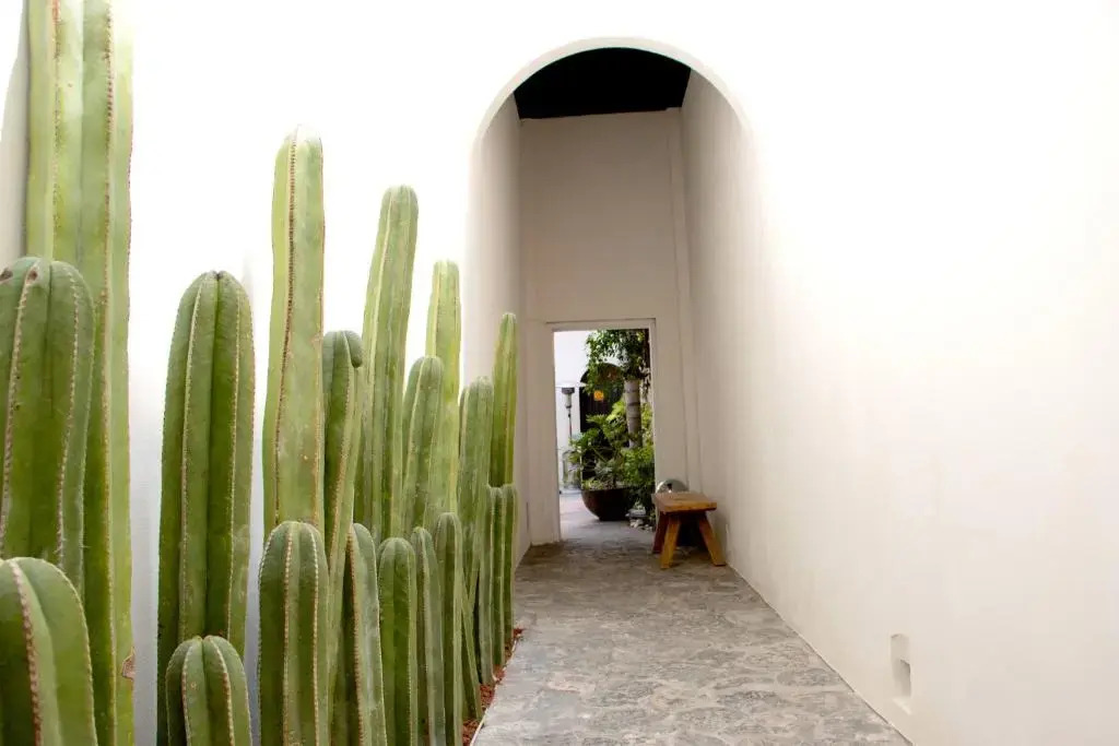 Casa Padua