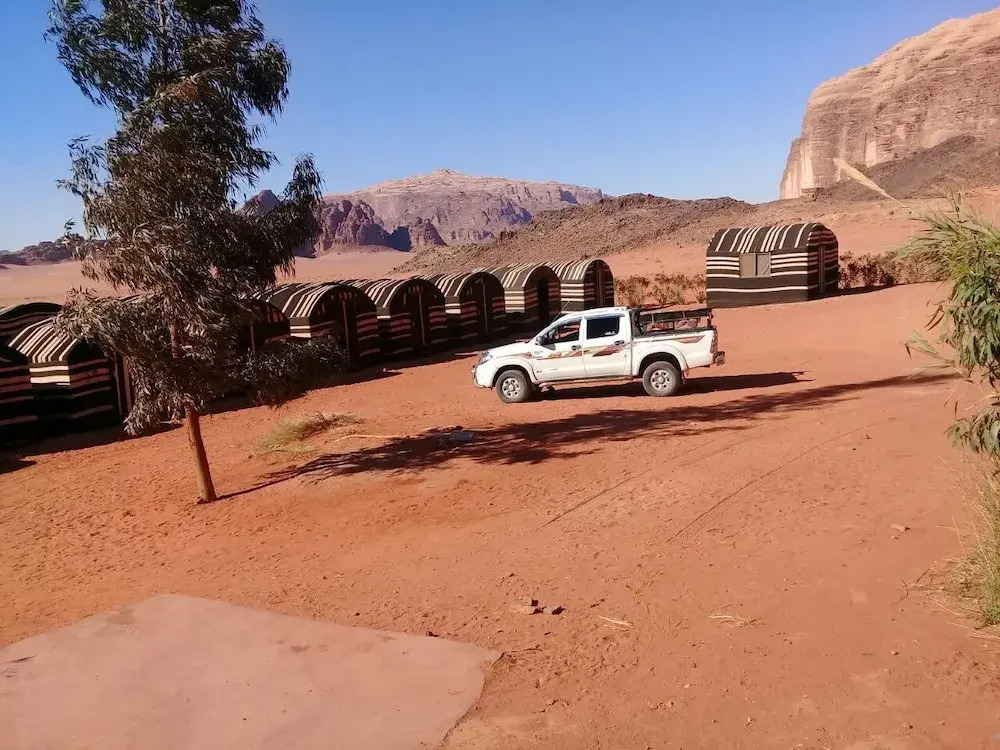 Wildlife Camp