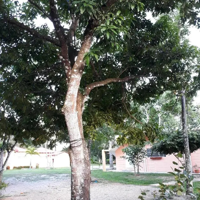 The Place to Enjoy Life!!!