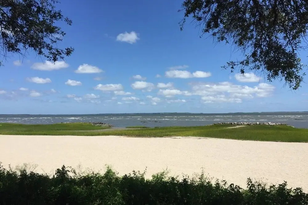 Treetop - 1br/1ba Well Appointed & Sleeps 4 1 Bedroom Condo