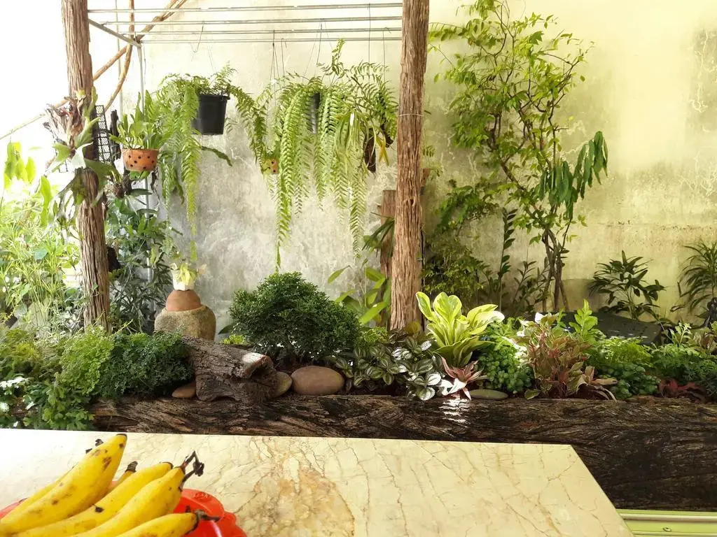 Muang Khon Guest House