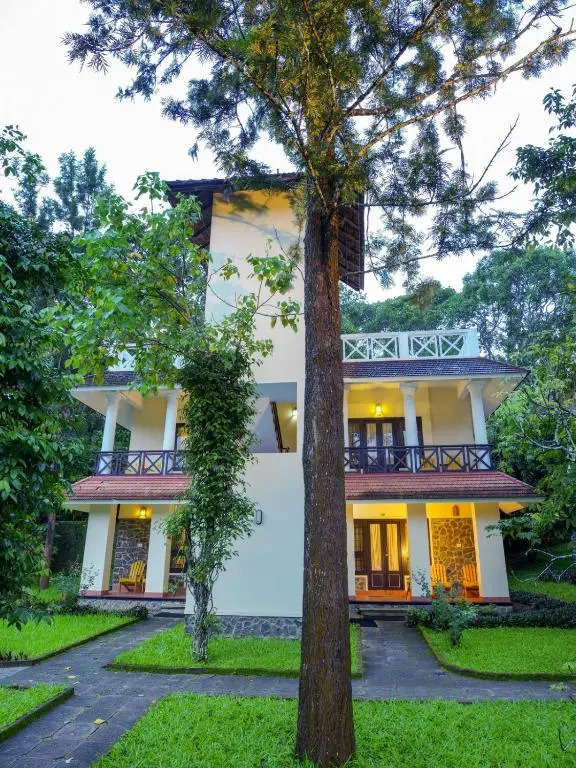 Hotel Treetop