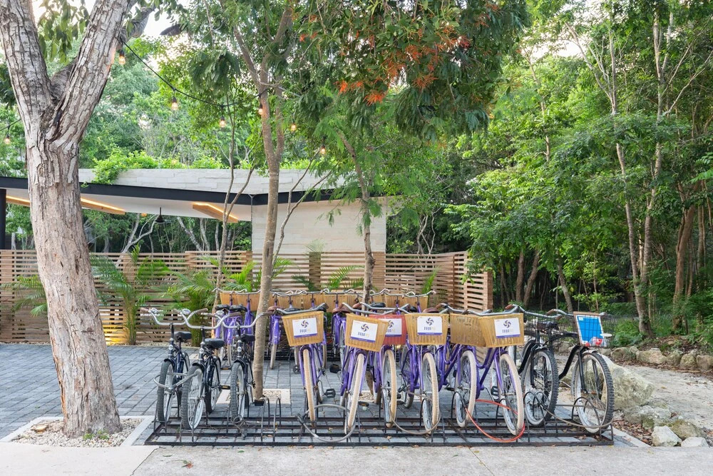Casa Selva 2BR Jungle State - Attha Cenote