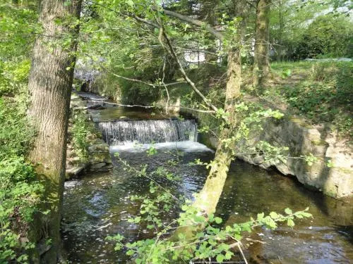 Molino Del Torchio