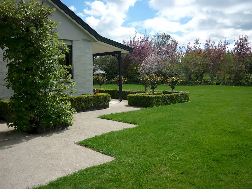 The Manor