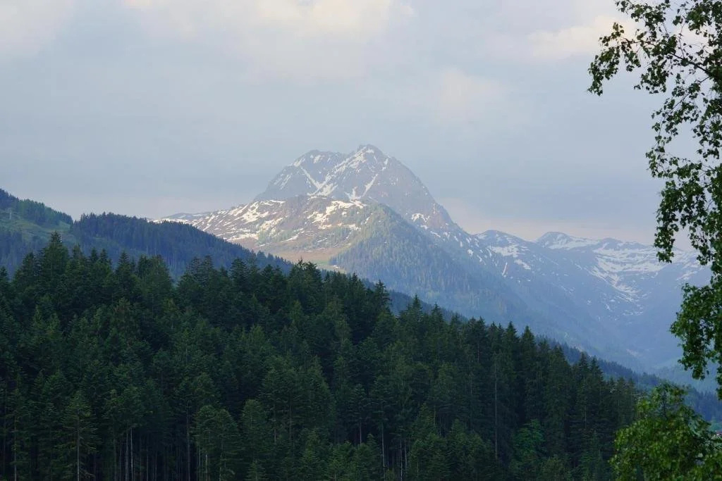 Gasthof Bergschenke Krin