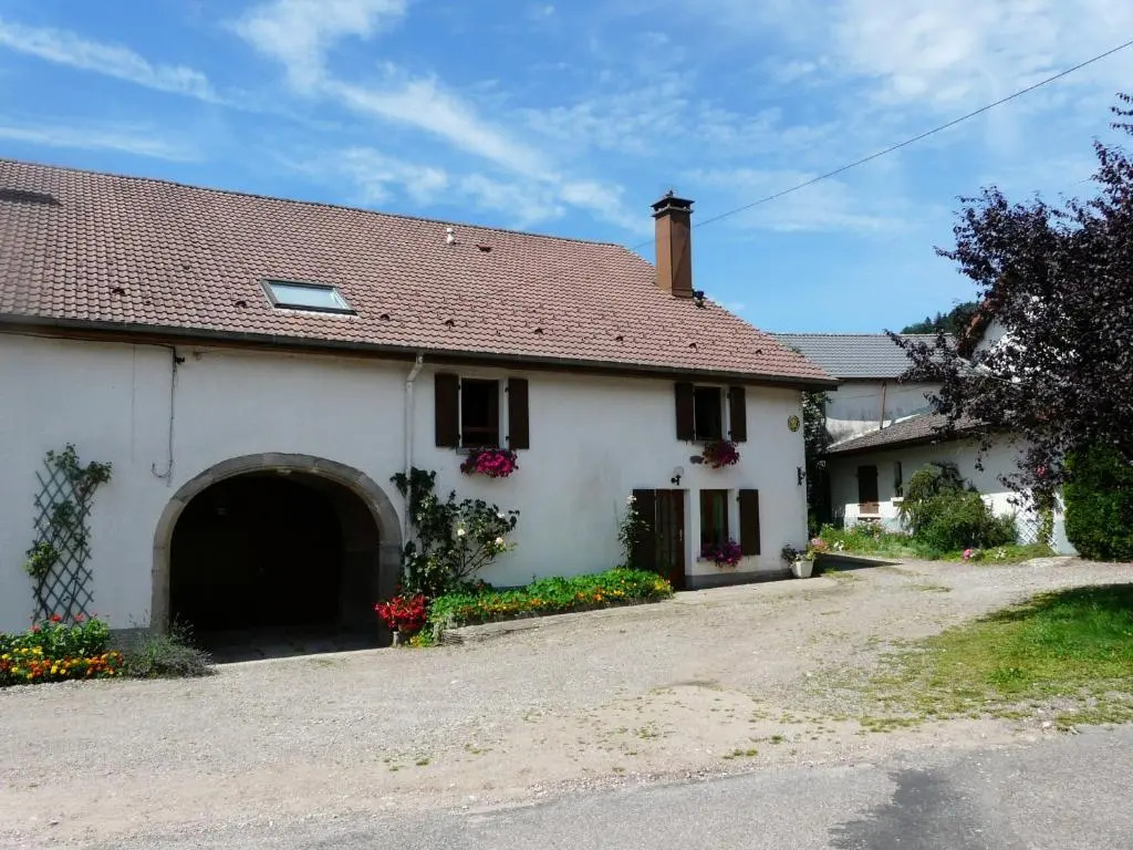 Gîte spacieux et confortable au Val dAjol, à proximité de Plombières-les-Bains, animaux de ferme ! - FR-1-589-139