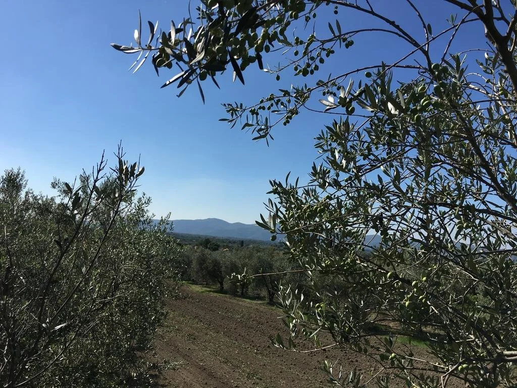 Antico Casale Santa Flora