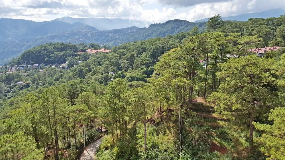 N201 at Outlook Ridge Baguio