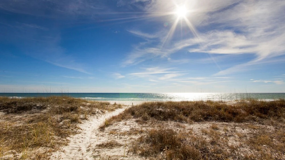 A Windsome Dream- 7 Windward Cove - 4BR 4.5BA (11)