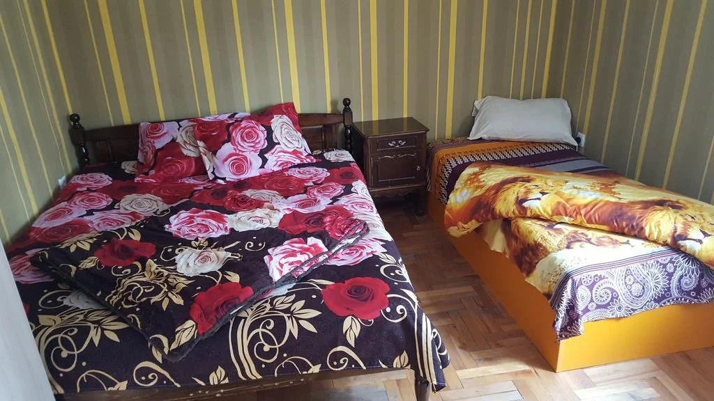 Hostel Alex