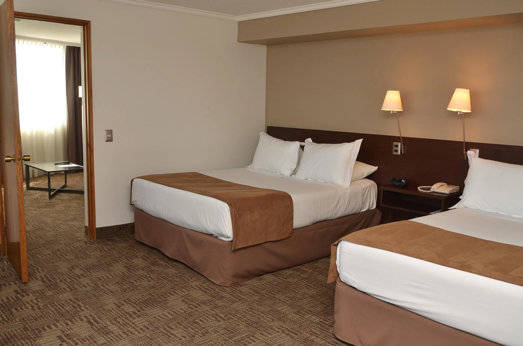 Hotel Director Vitacura