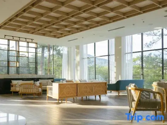 Haven in the Pines