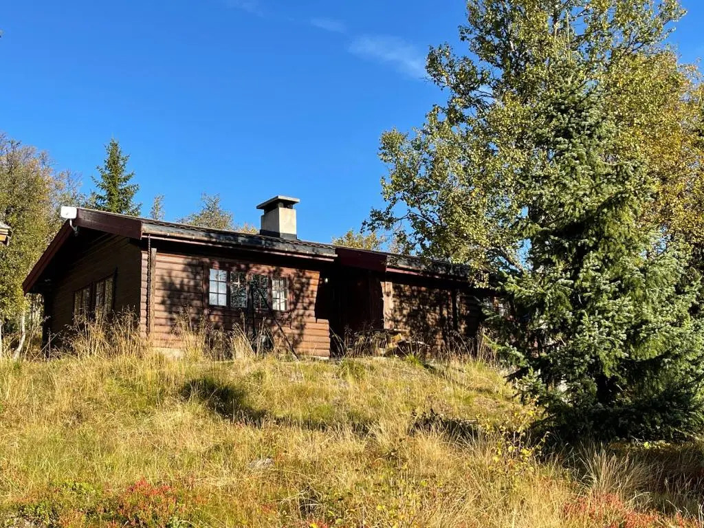 Bjørnehiet Havsdalen