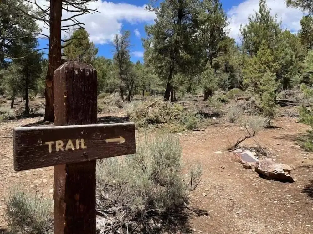 Lazy Bear Lodge Central Retreat by Big Bear Vacations