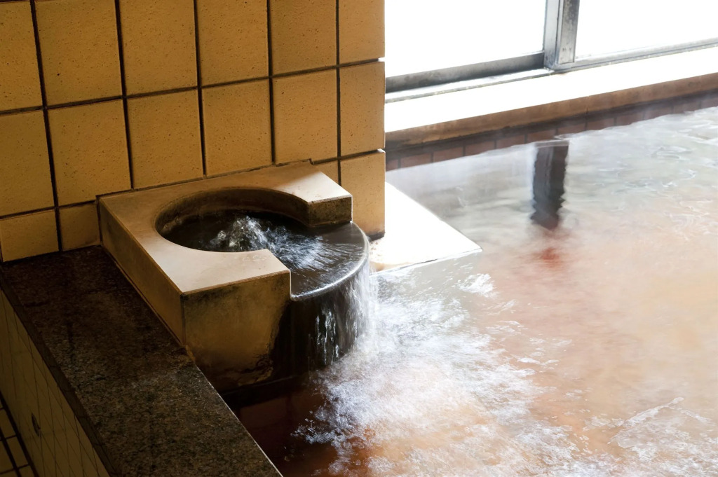 Kanazawa Hakuchoro Hotel Sanraku -Natural Hot Spring
