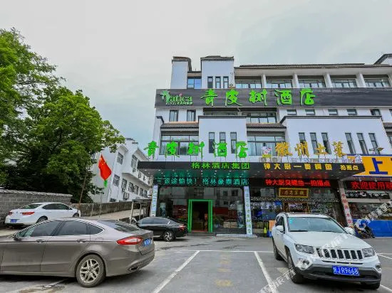 Pod Inn Huangshan South Gate Branch