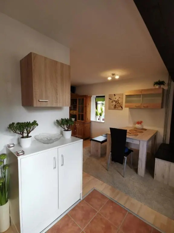 Lenzenhof anno 1720 I