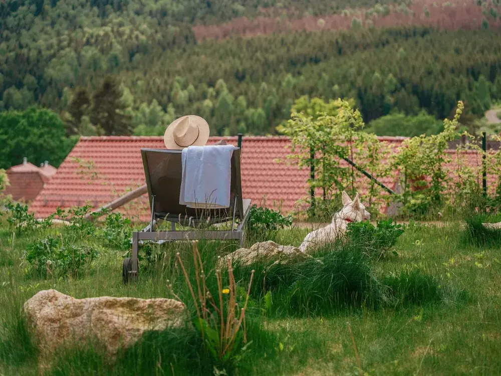 Holiday homes in the Schierke Harzresort on the Brocken, Schierke