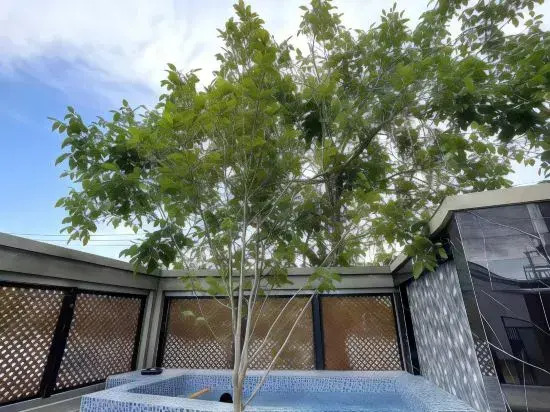 Shuianxiangju Boutique Homestay