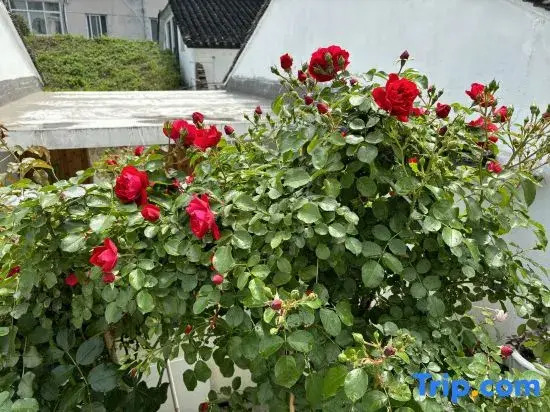 Suzhou Hemu Homestay