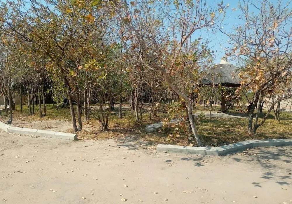 Little Lodge